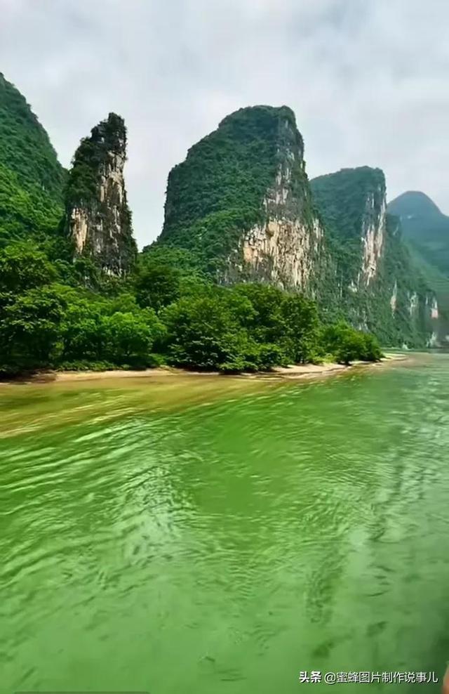 北方想在院子里养些蔬菜，哪些是冬天不怕寒的？
